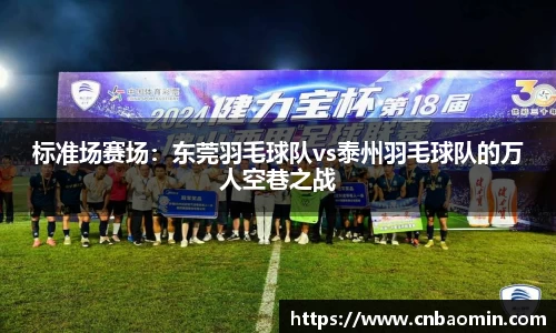 标准场赛场：东莞羽毛球队vs泰州羽毛球队的万人空巷之战